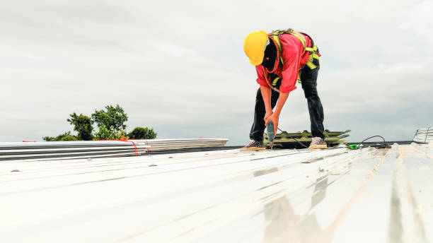 Best Sheet Metal Roofing  in Pasatiempo, CA